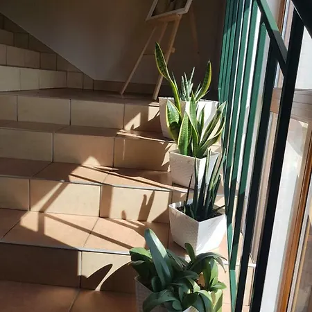 Białe Wzgórze Gospodarstwo agroturystyczne Okonek