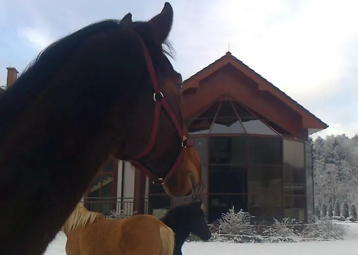 Biale Wzgorze Séjour à la ferme