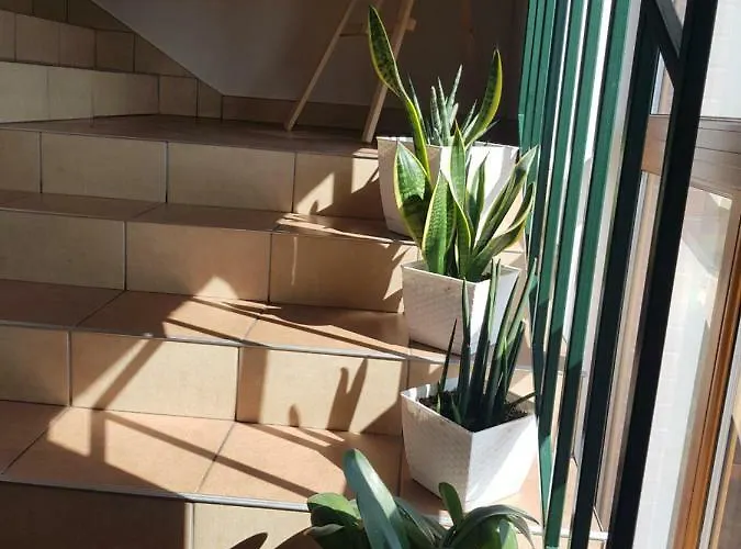 Biale Wzgorze Séjour à la ferme Okonek